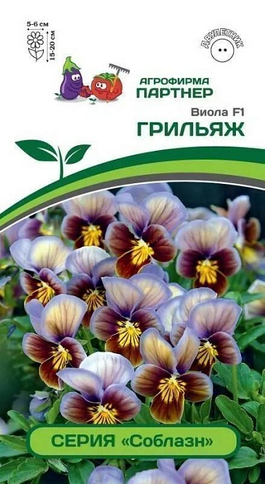 картинка Виола Грильяж серия Соблазн 10шт (Партнер) магазин Одежда+ являющийся официальным дистрибьютором в России 