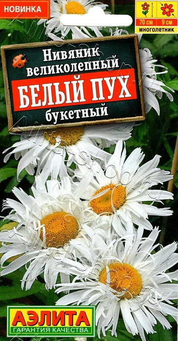 картинка Нивяник Белый пух букетный 25шт ц/п (Аэлита) магазин Одежда+ являющийся официальным дистрибьютором в России 