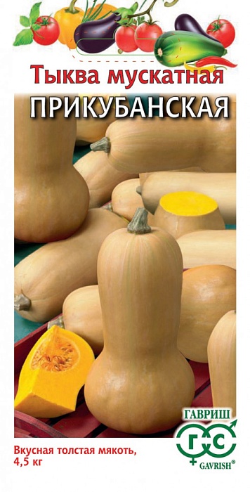 картинка Тыква Прикубанская 1г ц/п (Гавриш) магазин Одежда+ являющийся официальным дистрибьютором в России 