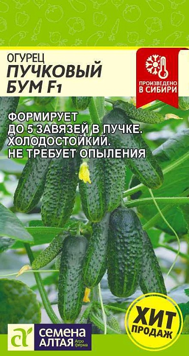 картинка Огурец Пучковый Бум 5шт ц/п (СемАлт) магазин Одежда+ являющийся официальным дистрибьютором в России 