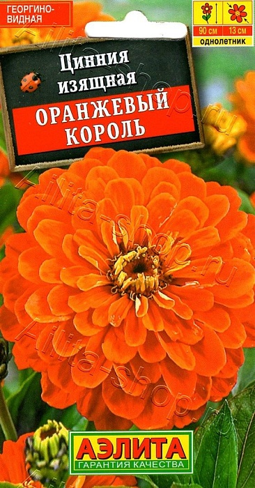 картинка Цинния Оранжевый король 0,3г ц/п (Аэлита) магазин Одежда+ являющийся официальным дистрибьютором в России 