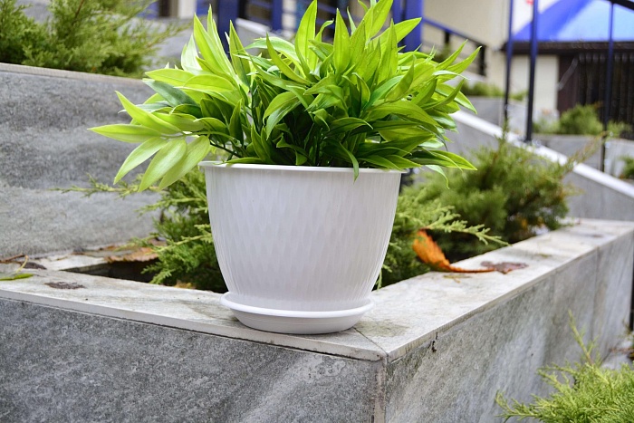 картинка Кашпо Корсика 19 с/п белый 2,4л (Техпласт) магазин Одежда+ являющийся официальным дистрибьютором в России 