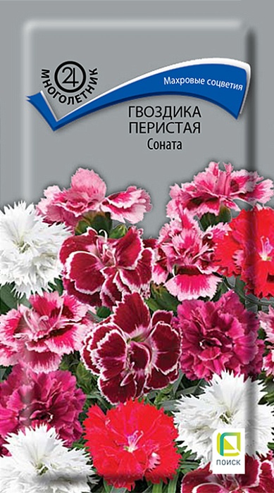 картинка Гвоздика перистая Соната 0,05г ц/п (Поиск)  магазин Одежда+ являющийся официальным дистрибьютором в России 