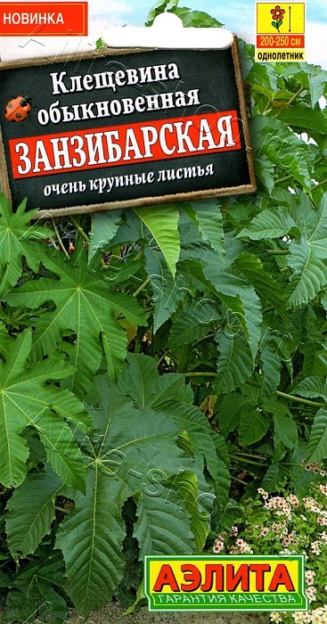 картинка Клещевина Занзибарская 2г ц/п (Аэлита) магазин Одежда+ являющийся официальным дистрибьютором в России 