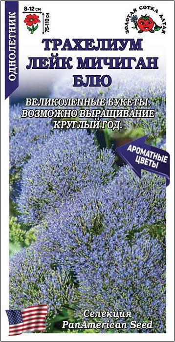 картинка Трахелиум Лейк Мичиган Блю 5шт ц/п (З/Сотка)  магазин Одежда+ являющийся официальным дистрибьютором в России 