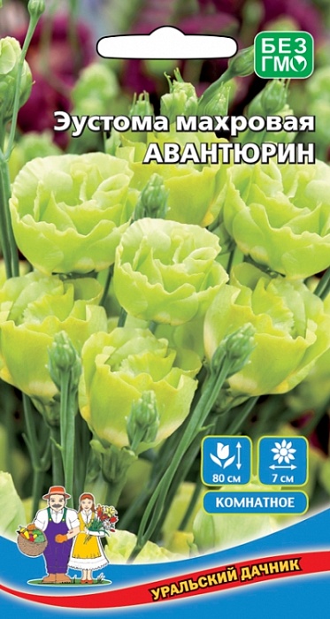 картинка Эустома Авантюрин махровая 5шт ц/п (УД) Новинка! магазин Одежда+ являющийся официальным дистрибьютором в России 