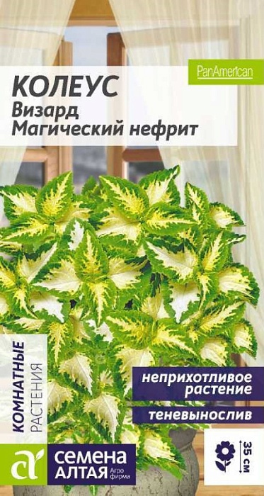 картинка Колеус Визард Магический Нефрит 5шт ц/п (СемАлт) магазин Одежда+ являющийся официальным дистрибьютором в России 