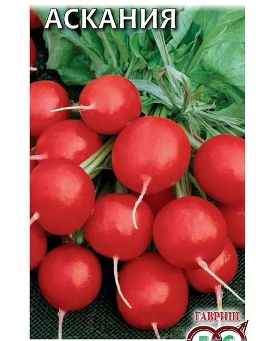 картинка Редис Аскания 2г ц/п (Гавриш) магазин Одежда+ являющийся официальным дистрибьютором в России 