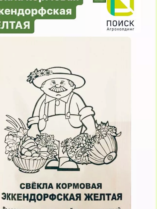 картинка Свекла кормовая Эккендорфская Желтая 1кг (Поиск) магазин Одежда+ являющийся официальным дистрибьютором в России 