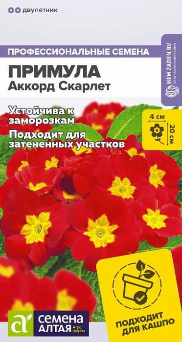 картинка Примула Аккорд Скарлет 5шт ц/п (СемАлт) магазин Одежда+ являющийся официальным дистрибьютором в России 