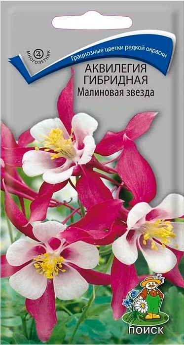 картинка Аквилегия Малиновая звезда 0,05г ц/п (Поиск) магазин Одежда+ являющийся официальным дистрибьютором в России 