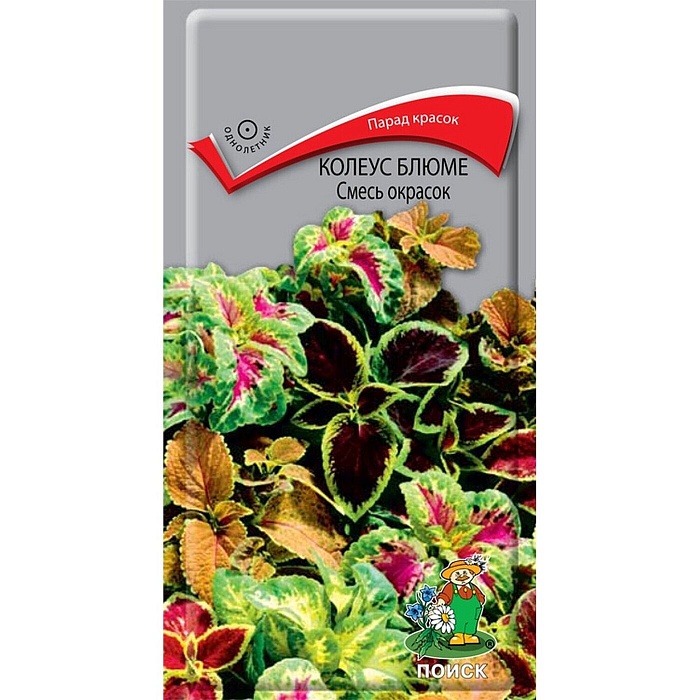 картинка Колеус Блюме смесь окрасок 0,1г ц/п (Поиск) магазин Одежда+ являющийся официальным дистрибьютором в России 
