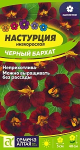 Настурция Черный бархат ц/п (СемАлт)