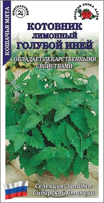 картинка Котовник Голубой иней лимонный 0,1г ц/п (З/Сотка)  магазин Одежда+ являющийся официальным дистрибьютором в России 