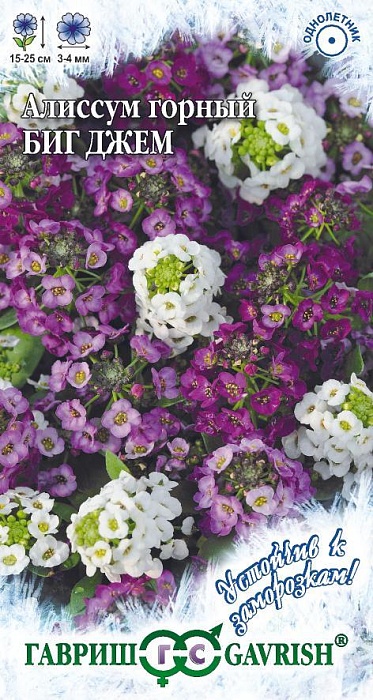 картинка Алиссум Биг джем горный смесь 0,01г ц/п (Гавриш) магазин Одежда+ являющийся официальным дистрибьютором в России 