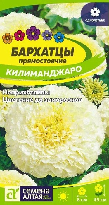 картинка Бархатцы Килиманджаро 0,05г ц/п (СемАлт) магазин Одежда+ являющийся официальным дистрибьютором в России 