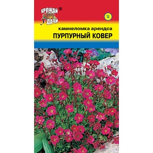 Камнеломка Пурпурный ковер 0,01г ц/п (УУ) 