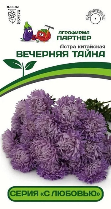 картинка Астра Вечерняя тайна, китайская 5шт (Партнер) магазин Одежда+ являющийся официальным дистрибьютором в России 
