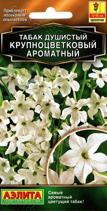 картинка Табак душистый Ароматный 0,05г ц/п (Аэлита) магазин Одежда+ являющийся официальным дистрибьютором в России 