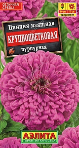 Цинния Крупноцветковая Пурпурная 0,3г ц/п (Аэлита)