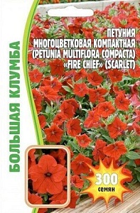 Петуния Fire Chief Scarlet 300шт (Григорьев) 