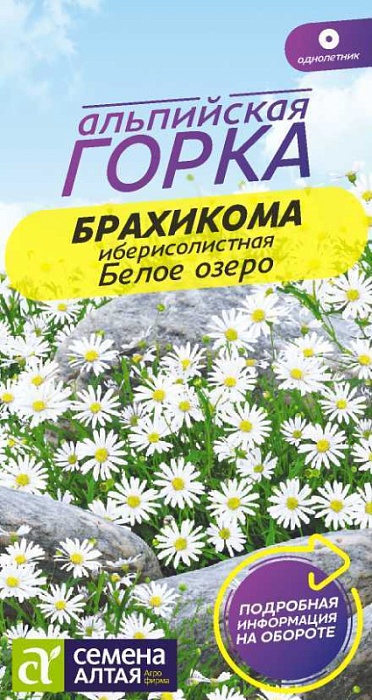 картинка Брахикома Белое озеро 0,05г ц/п (СемАлт) Альп.горка магазин Одежда+ являющийся официальным дистрибьютором в России 