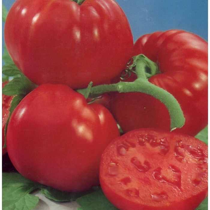 картинка Томат Джина 1кг (ПрСидс) магазин Одежда+ являющийся официальным дистрибьютором в России 