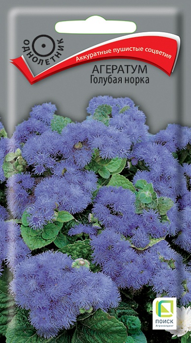 картинка Агератум Голубая норка 0,1г ц/п (Поиск) магазин Одежда+ являющийся официальным дистрибьютором в России 
