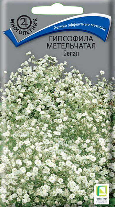 картинка Гипсофила Белая метельчатая 0,2г ц/п (Поиск)  магазин Одежда+ являющийся официальным дистрибьютором в России 