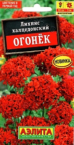 Лихнис Огонек 0,1г ц/п *(Аэлита)