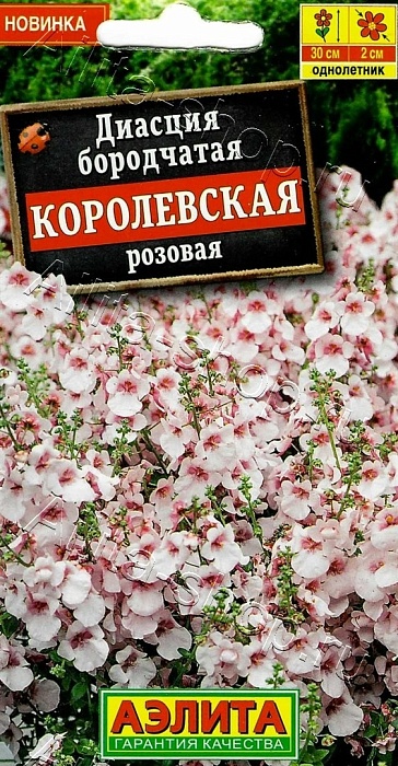 картинка Диасция Королевская розовая 20шт ц/п (Аэлита) магазин Одежда+ являющийся официальным дистрибьютором в России 