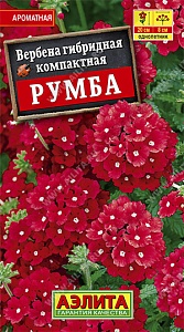 Вербена Румба 30шт ц/п (Аэлита)