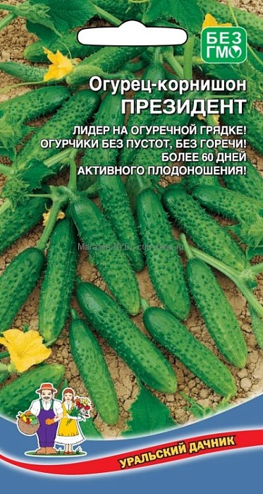 картинка Огурец Президент-корнишон 12шт ц/п (УД) раннеспелый,пчелоопыл.,до12см магазин Одежда+ являющийся официальным дистрибьютором в России 