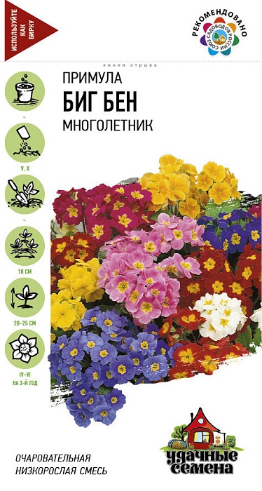 картинка Примула Биг-Бен 20шт ц/п (Гавриш) Уд.с. высокая магазин Одежда+ являющийся официальным дистрибьютором в России 