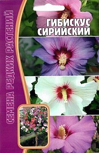 Гибискус Сирийский 7шт (Григорьев)