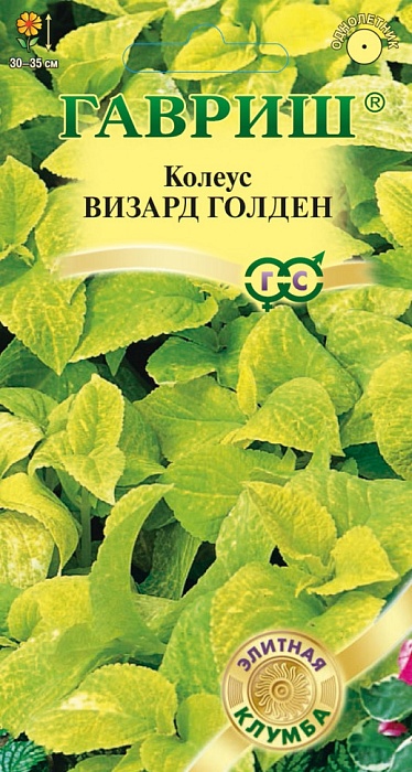 картинка Колеус Визард Голден 5шт ц/п (Гавриш) Элитная клумба магазин Одежда+ являющийся официальным дистрибьютором в России 