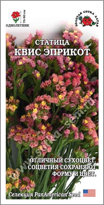 картинка Статица Квис Эприкот 10шт ц/п (З/Сотка) магазин Одежда+ являющийся официальным дистрибьютором в России 