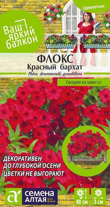 картинка Флокс Красный Бархат друммонда 0,1г ц/п (СемАлт) магазин Одежда+ являющийся официальным дистрибьютором в России 