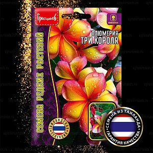 Плюмерия Три Короля 3шт (Григорьев)