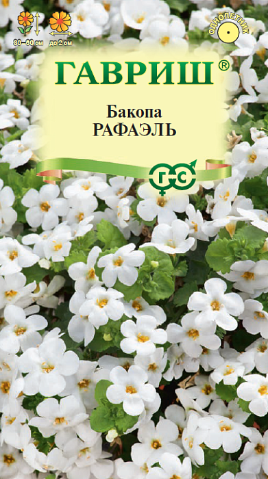 картинка Бакопа Рафаэль 3шт ц/п (Гавриш) белая магазин Одежда+ являющийся официальным дистрибьютором в России 