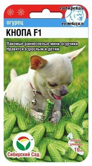 картинка Огурец Кнопа F1 7шт (СибСад)  магазин Одежда+ являющийся официальным дистрибьютором в России 