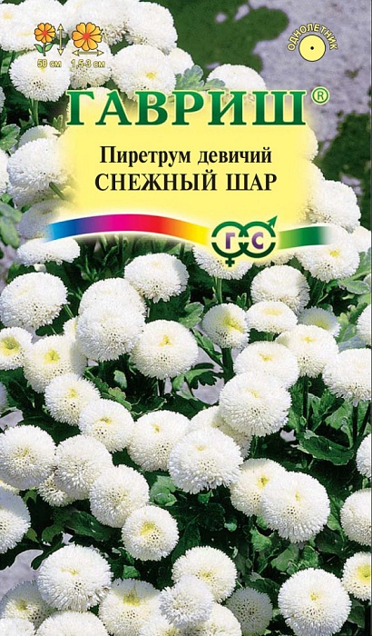 картинка Пиретрум Снежный шар 0,01г ц/п (Гавриш) магазин Одежда+ являющийся официальным дистрибьютором в России 