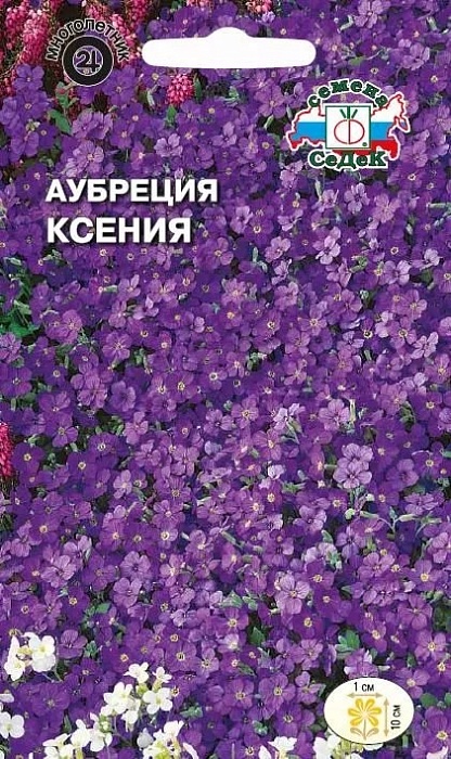 картинка Аубреция Ксения (темно-фиолетовая) 0,1г ц/п (Седек)  магазин Одежда+ являющийся официальным дистрибьютором в России 