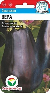 Баклажан Вера 20шт (СибСад)