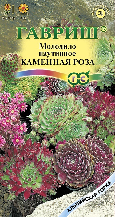 картинка Молодило Каменная роза, смесь 0,01г ц/п (Гавриш) Альп.горка магазин Одежда+ являющийся официальным дистрибьютором в России 