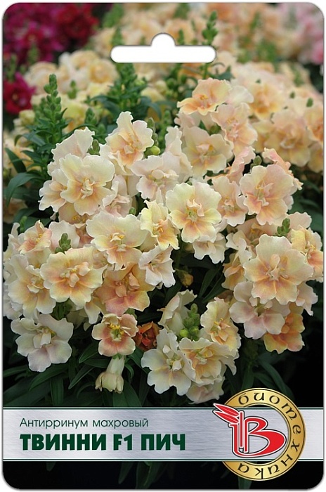 картинка Антирринум Твинни Пич F1 15шт (Биотехника)  магазин Одежда+ являющийся официальным дистрибьютором в России 