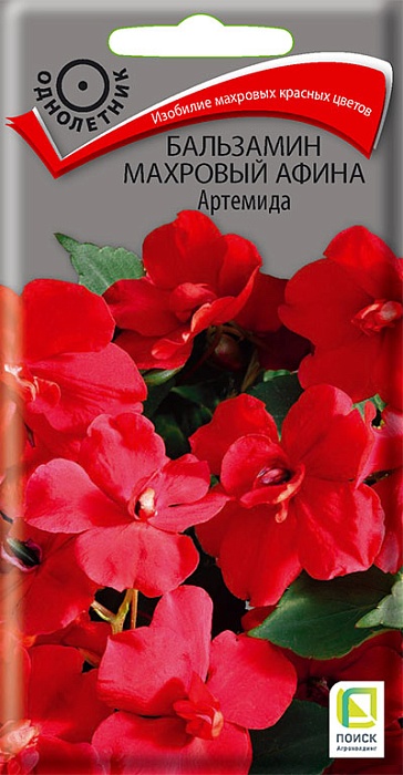 картинка Бальзамин Афина Артемида 0,1г ц/п (Поиск) махровый магазин Одежда+ являющийся официальным дистрибьютором в России 