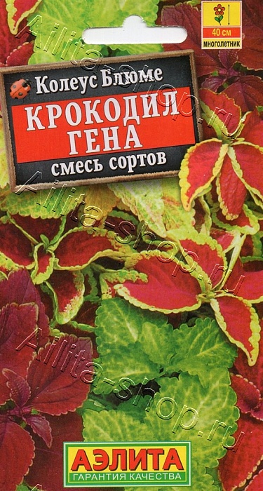 картинка Колеус Крокодил Гена, смесь сортов 0,05г ц/п (Аэлита)  магазин Одежда+ являющийся официальным дистрибьютором в России 
