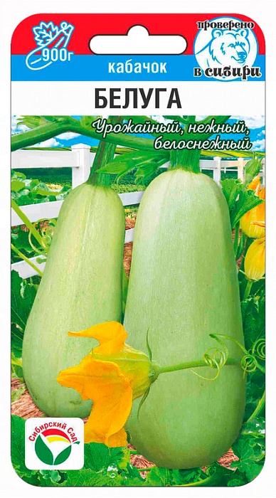 картинка Кабачок Белуга 5шт (СибСад) магазин Одежда+ являющийся официальным дистрибьютором в России 