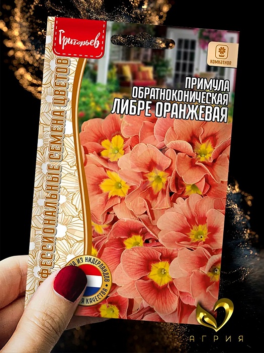 картинка Примула Либре Оранжевая обратноконическая 4шт (Григорьев) магазин Одежда+ являющийся официальным дистрибьютором в России 